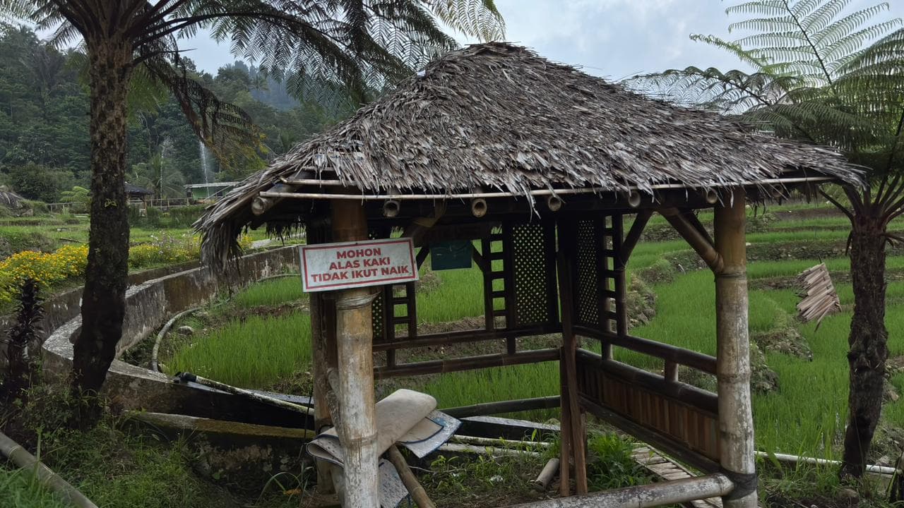 Wisata Pagubugan Melung — Kolam renang alami di tengah sawah