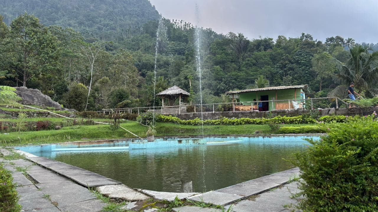 Hamparan sawah terasering di Desa Melung